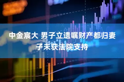 中金宸大 男子立遗嘱财产都归妻子未获法院支持